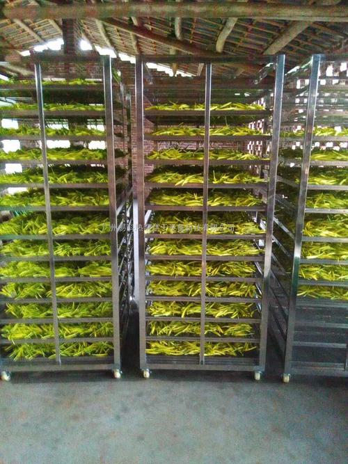 黃花菜烘干機(jī)、黃花菜烘干設(shè)備、黃花菜干燥機(jī)、黃花菜干燥設(shè)備、